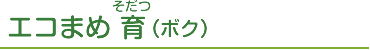 エコまめ 育（ボク）